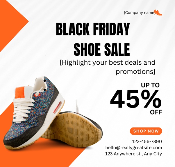 Promotional Black Friday Email