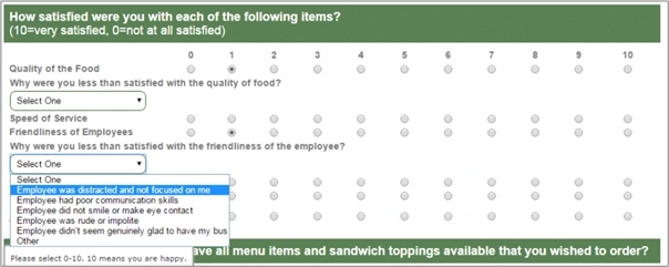 SubWay's Customer Satisfaction Survey Questionnaire
