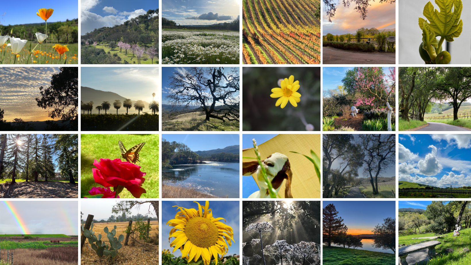 A grid of nature photos submitted into the Hidden Gems Earth Day Contest.